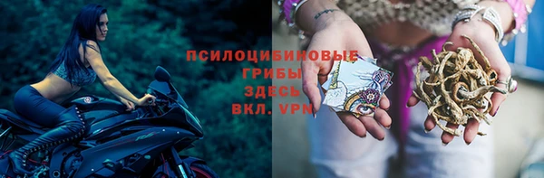 скорость Абаза